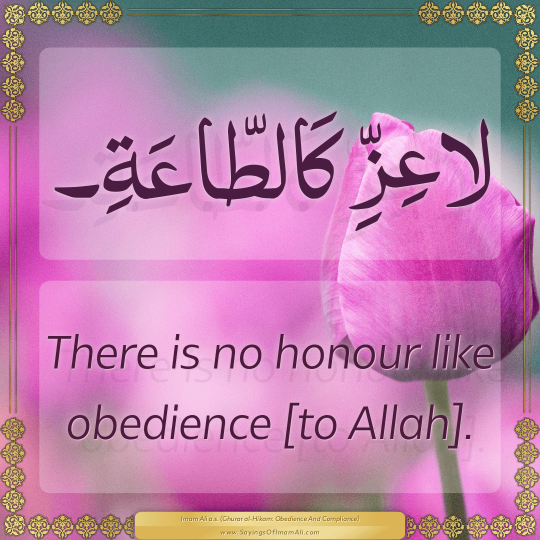 There is no honour like obedience [to Allah].